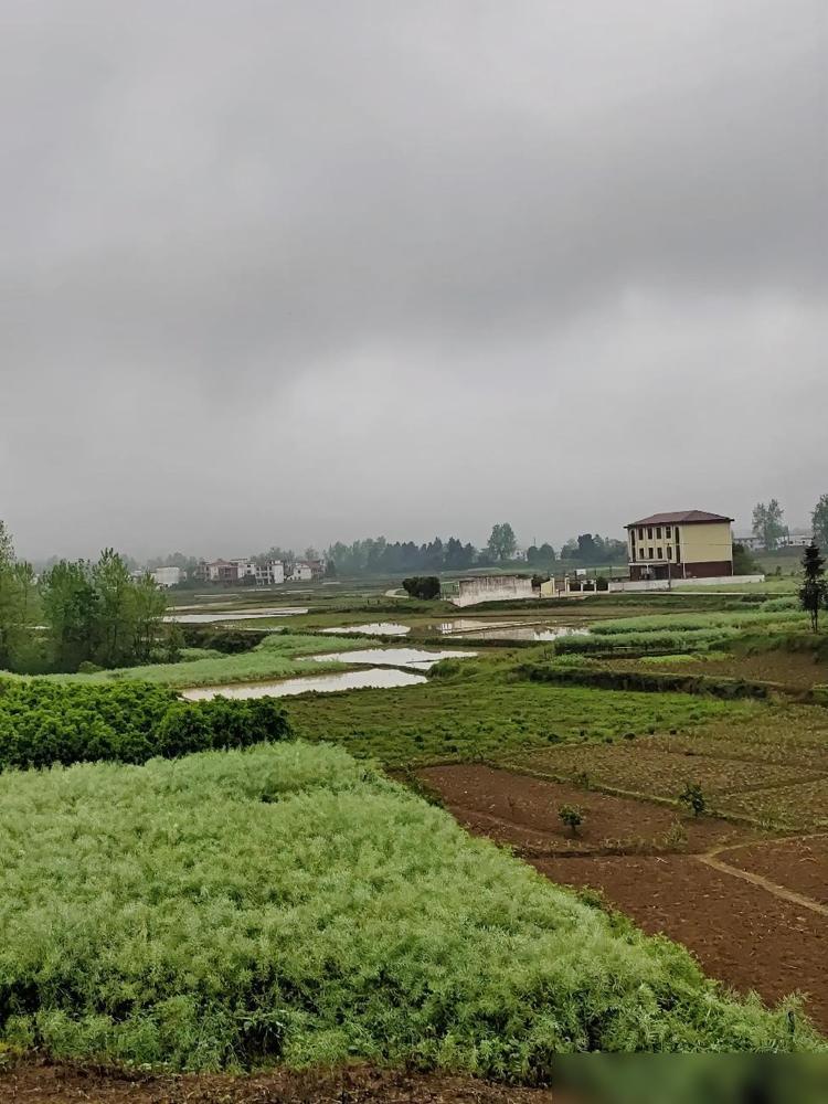 爷爷奶奶在世时，跟隔壁邻居家为争宅基地半锄宽的土，曾经打过一架，从此结下了世仇。