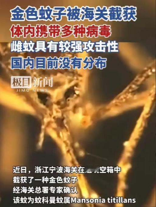 又是美国，又是病毒，这次不是实验室，是一整船“带毒蚊子”直接开到中国宁波！

6