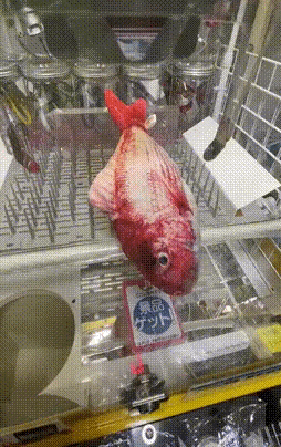 是你的，始终都是你的，跑都跑不掉。