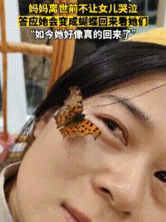 这也太不可思议了吧！视频中这个女孩的妈妈离开了人间，在走之前为了不让女儿哭，她便