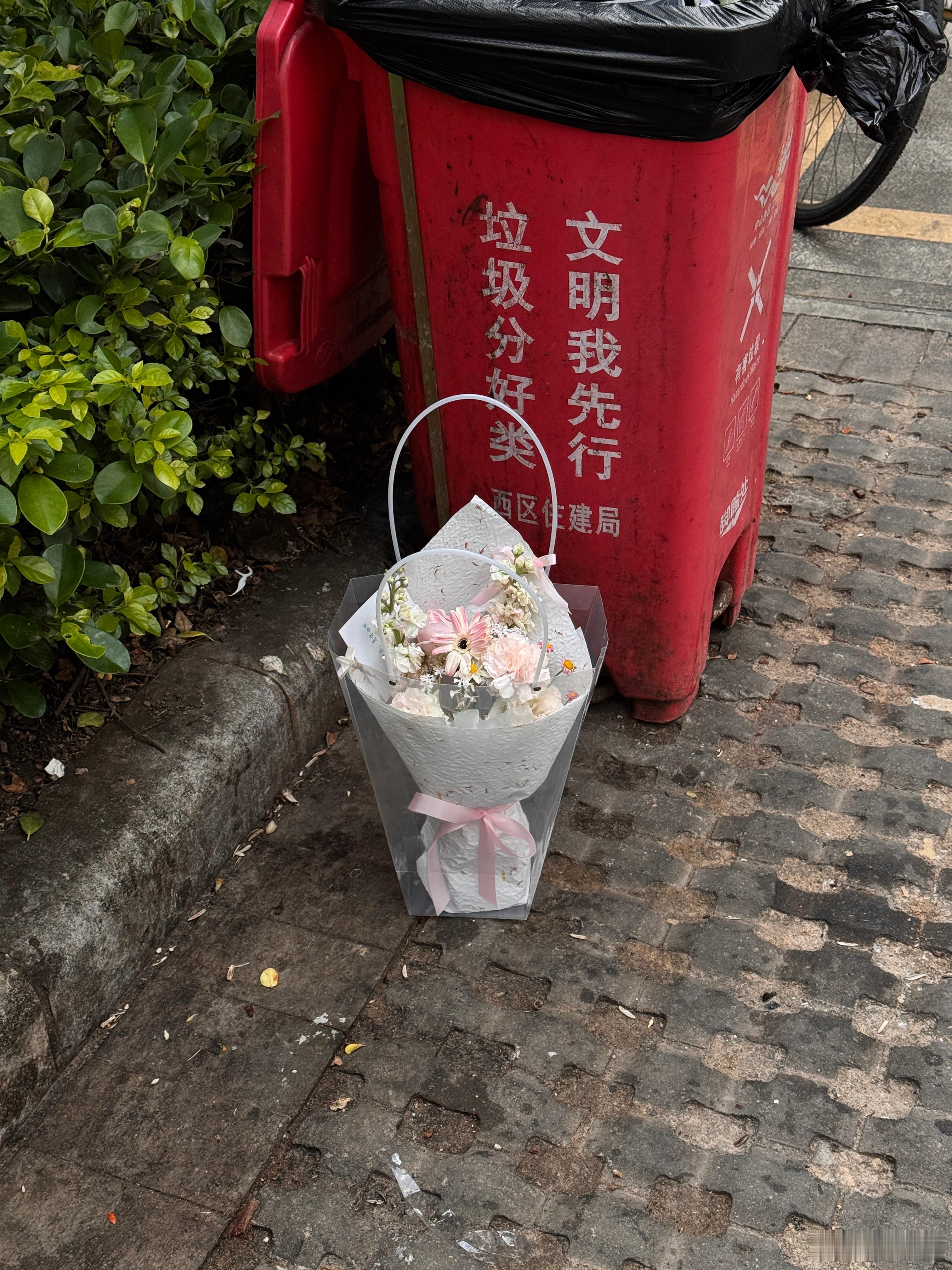 这么好看的花都扔了，真可惜，不是说女生都很喜欢这东西吗，太浪费了。 