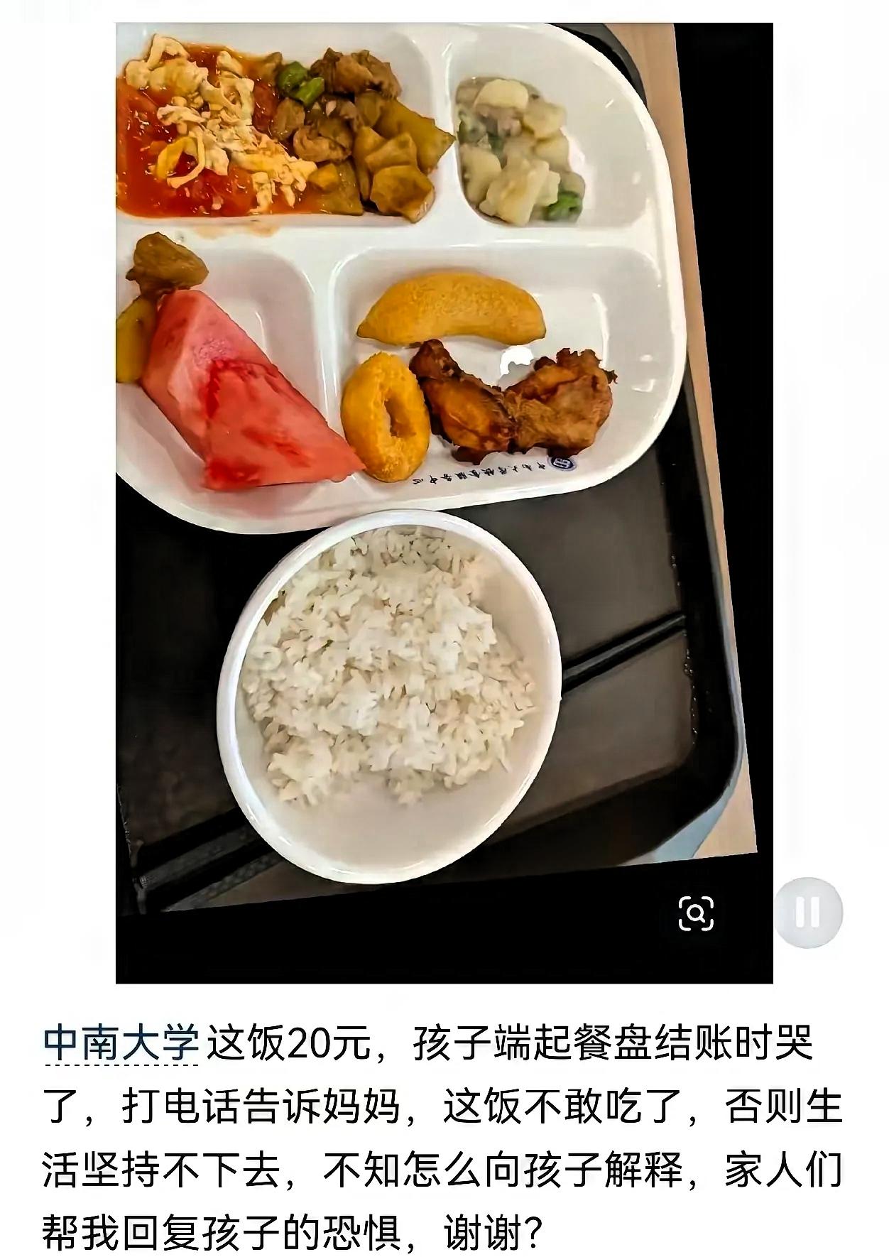 中南大学一餐20元，新生心疼哭！近日，中南大学一名新生吃完饭后，看到账单20元当