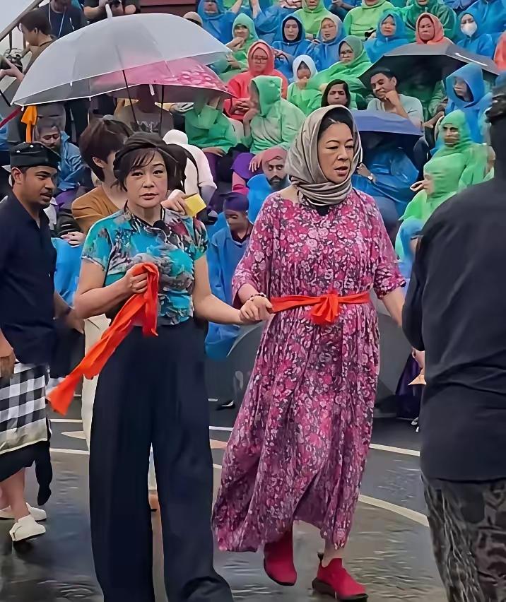 王铎：刘晓庆和倪萍这是演得什么戏？