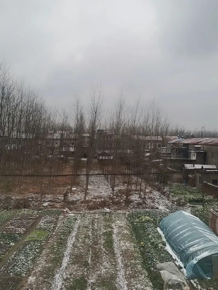 湖北也下雪了，去年没下过雪。