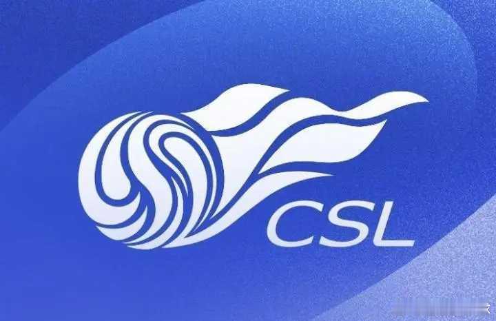 中国足坛2025赛季大结局：海港中超夺冠，国安收获足协杯！2025赛季足协杯决赛