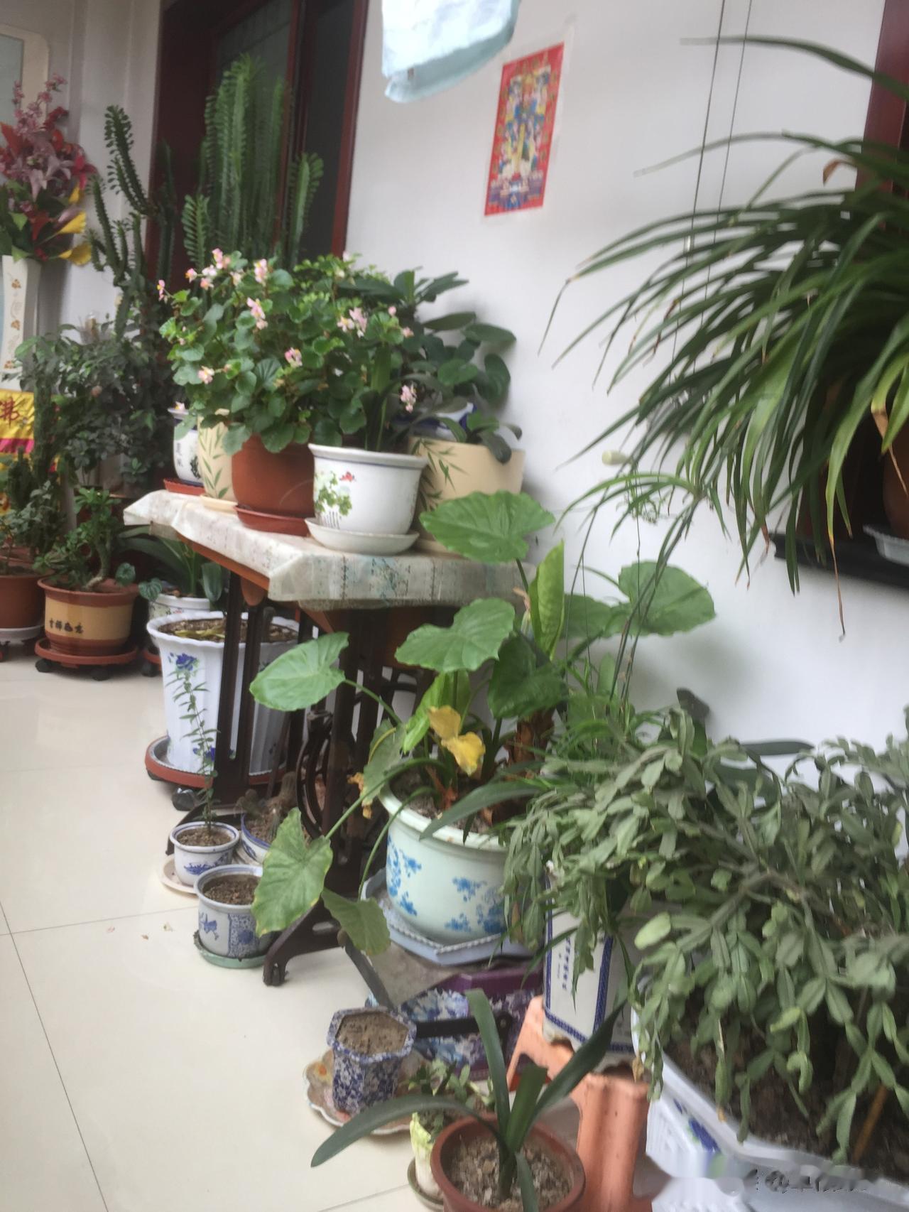 大陆各省妙对；
内蒙古上联：碧草毡房，春风马背牛羊壮；   
黑龙江下联：苍松雪