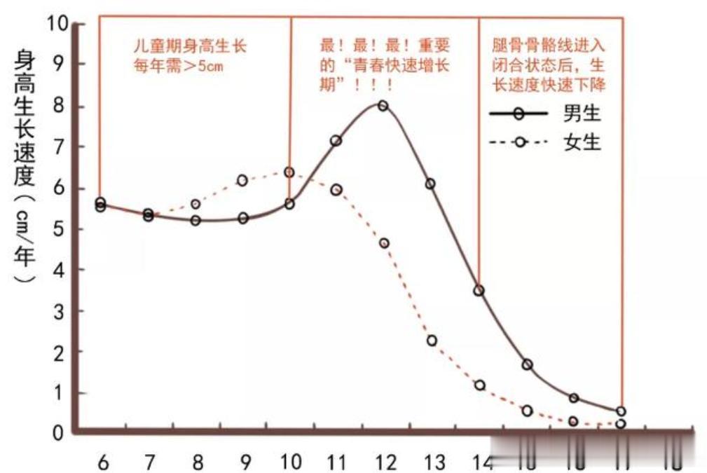 来自医生的灵魂拷问：作为家长，你知道你家儿子或女儿几岁停止长高？
 
不是16岁