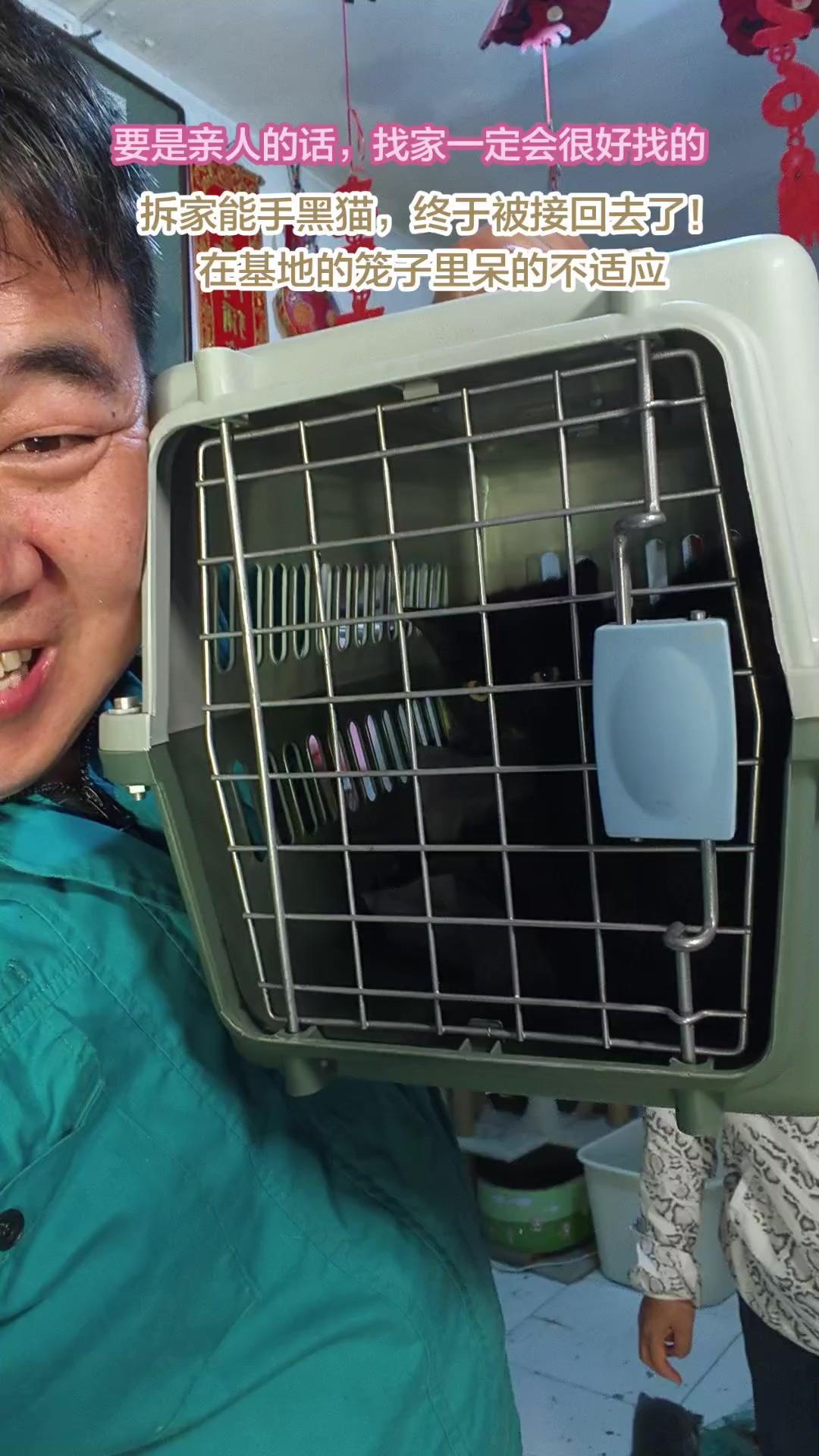 接回家的流浪黑猫有多野？🐱宠物救助流浪动物救助关注流浪动物

接它回家那天，小