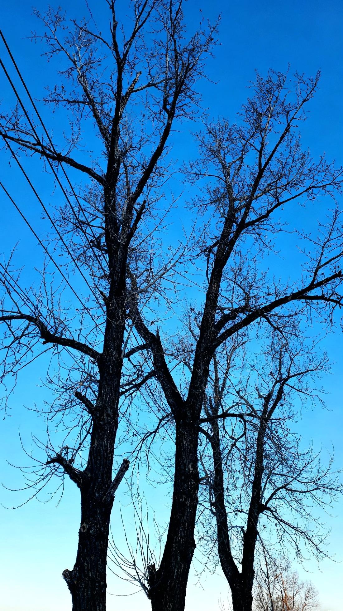 每天分享一句人生感悟“成长，不是变得坚硬，而是学会在保持柔软的同时，依然能够前行