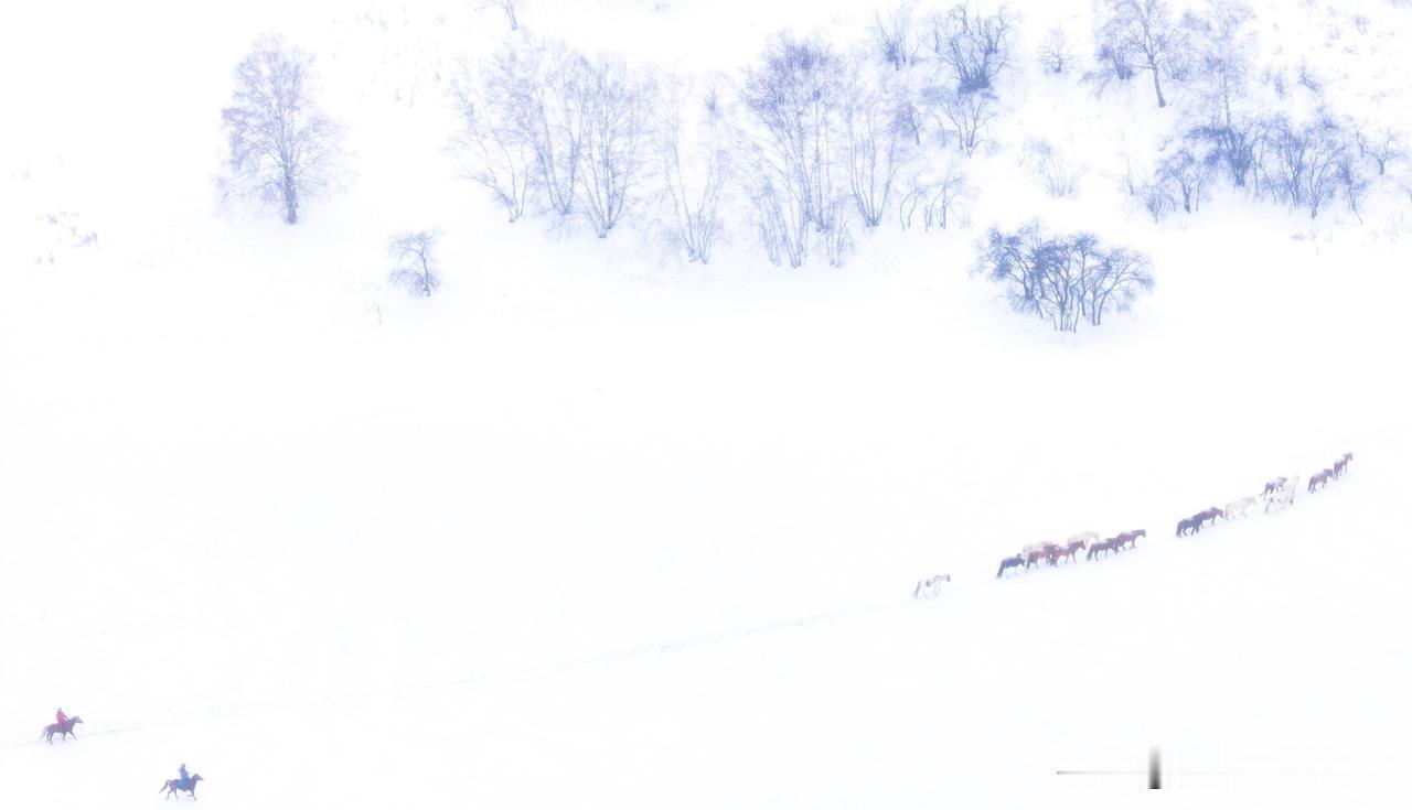 坝上冬雪