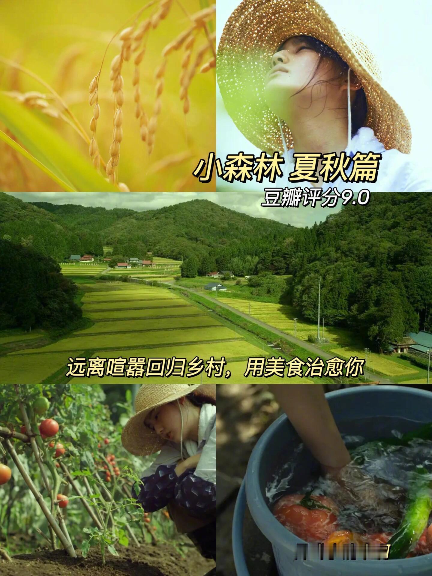 适合睡前观看的解压电影 