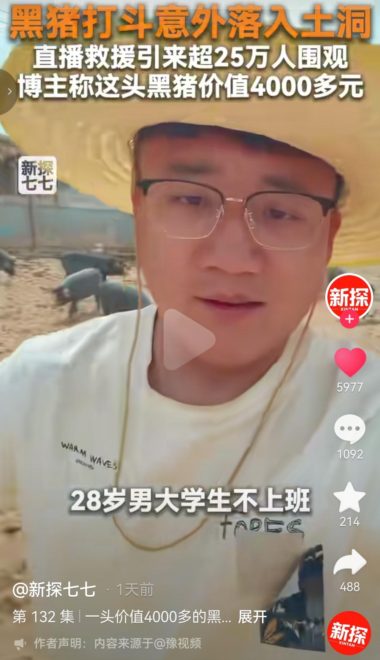 价值四千多的黑猪掉进土洞，二十多万网友在线围观救援，最后却只能无奈放弃
 
一头