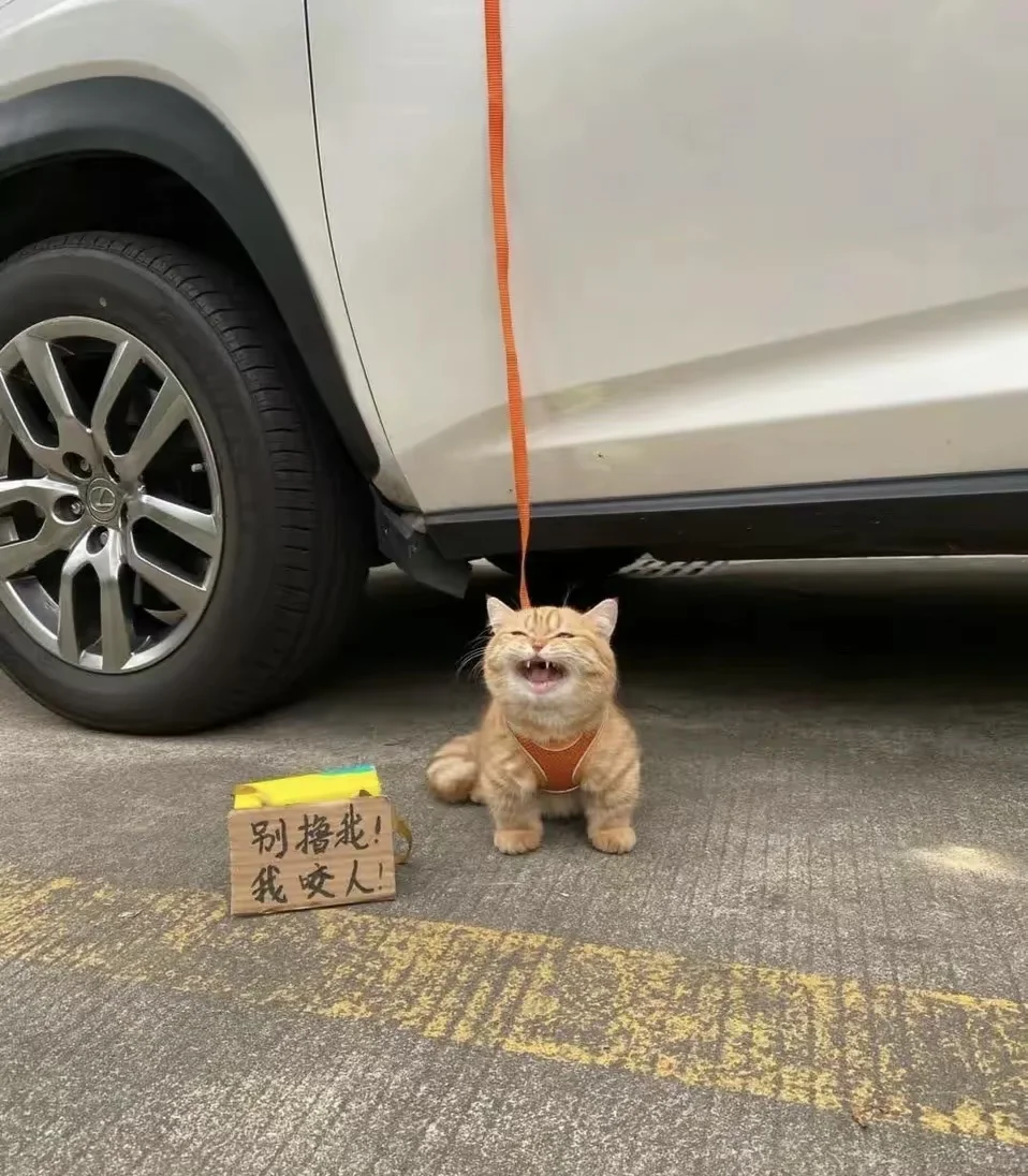 妈妈，我不是你的丈夫～心理案例杂拌 一些老女性，把本应放在丈夫身上的情...