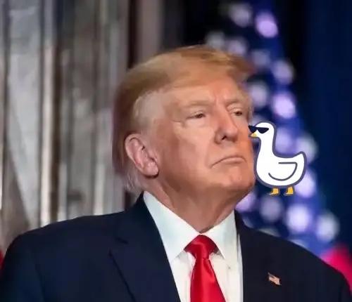 快讯！快讯！
美国总统特朗普宣布了
9月28日深夜，特朗普突然宣布，30号要去弗