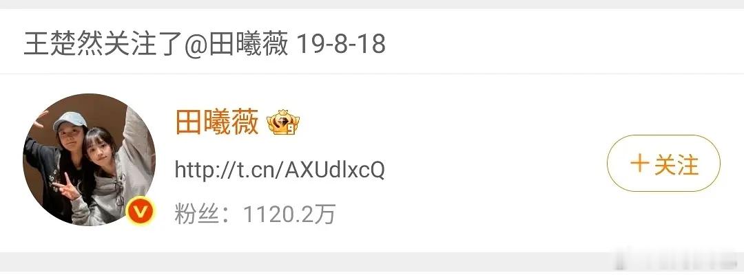 王楚然关注了两次田曦薇，后又取关
