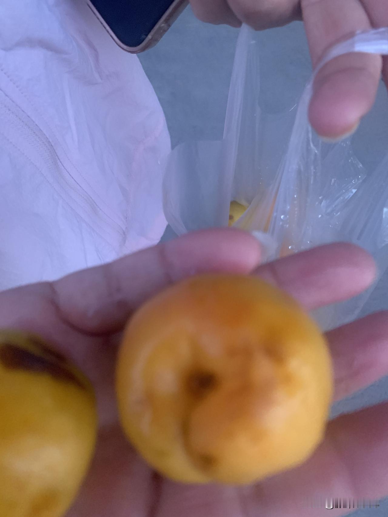 杏子熟了。来吧，买15元的，杏子真甜。小时每次快到六一儿童节前，杏子就上市了，还