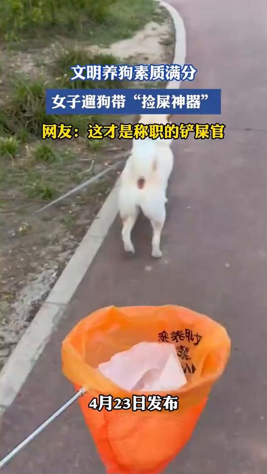 文明养狗素质满分，女子遛狗带"捡屎神器"。
网友：这才是称职的铲屎官。
4月23