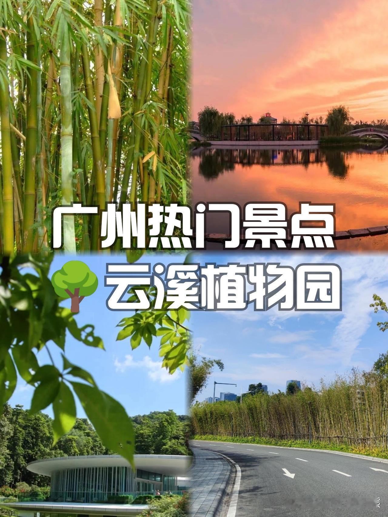 🌿藏在城市里的绿野仙踪秘境

谁说城市里没有天然氧？这座被绿意包裹的植物王国，