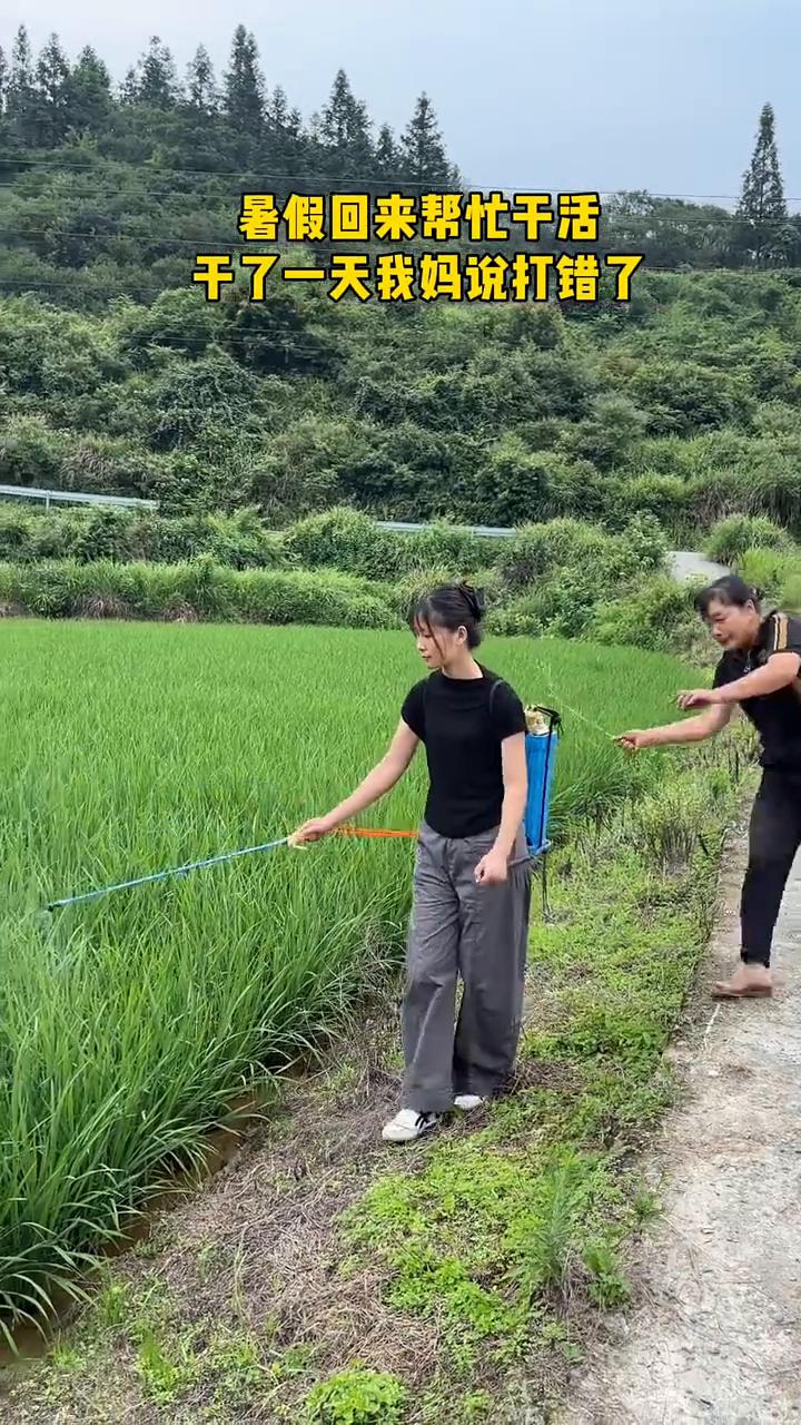 暑假回来帮忙干活，干了一天我妈说打错了。