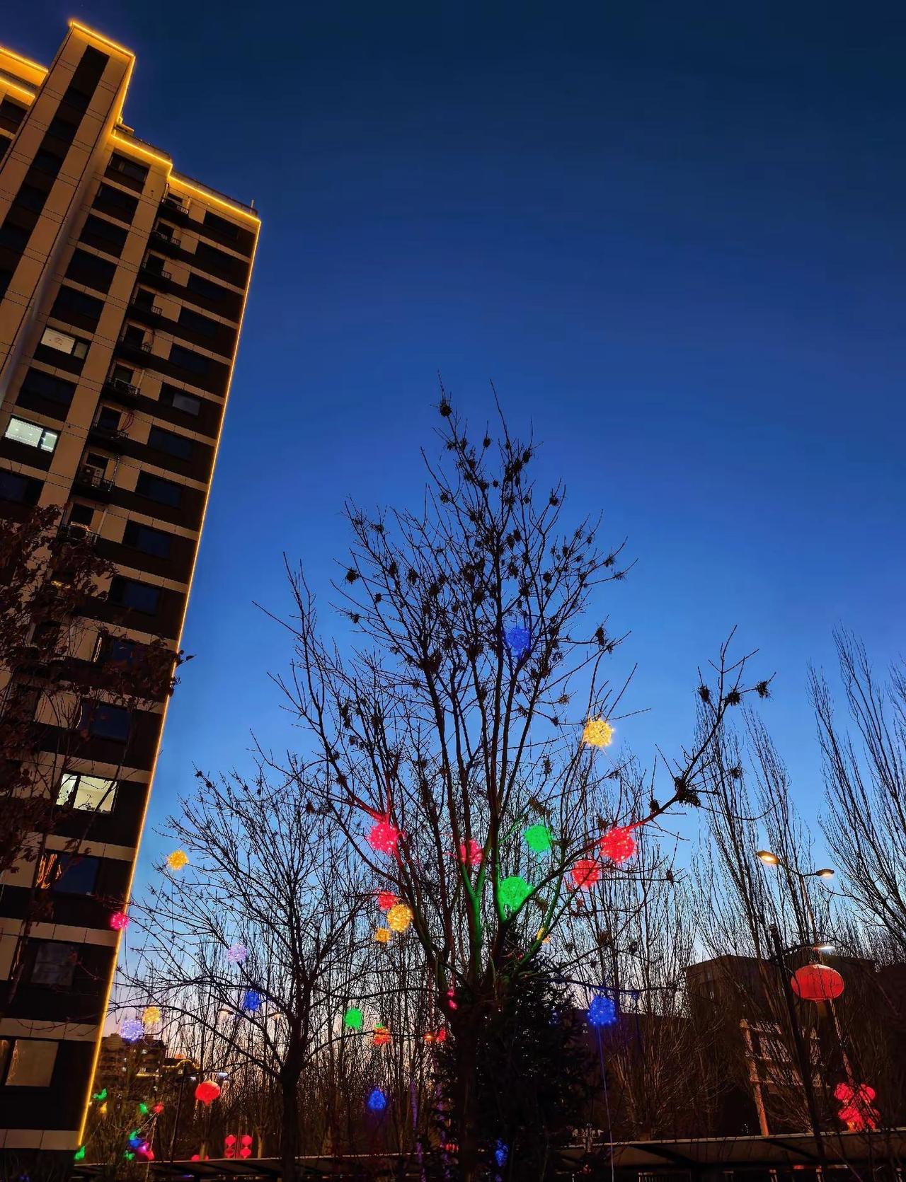 慢慢来……慢下来看世界 随手一拍都是美景