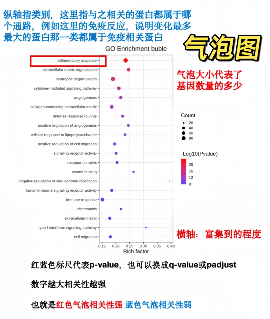 转录组测序样本要求and测序结果解读