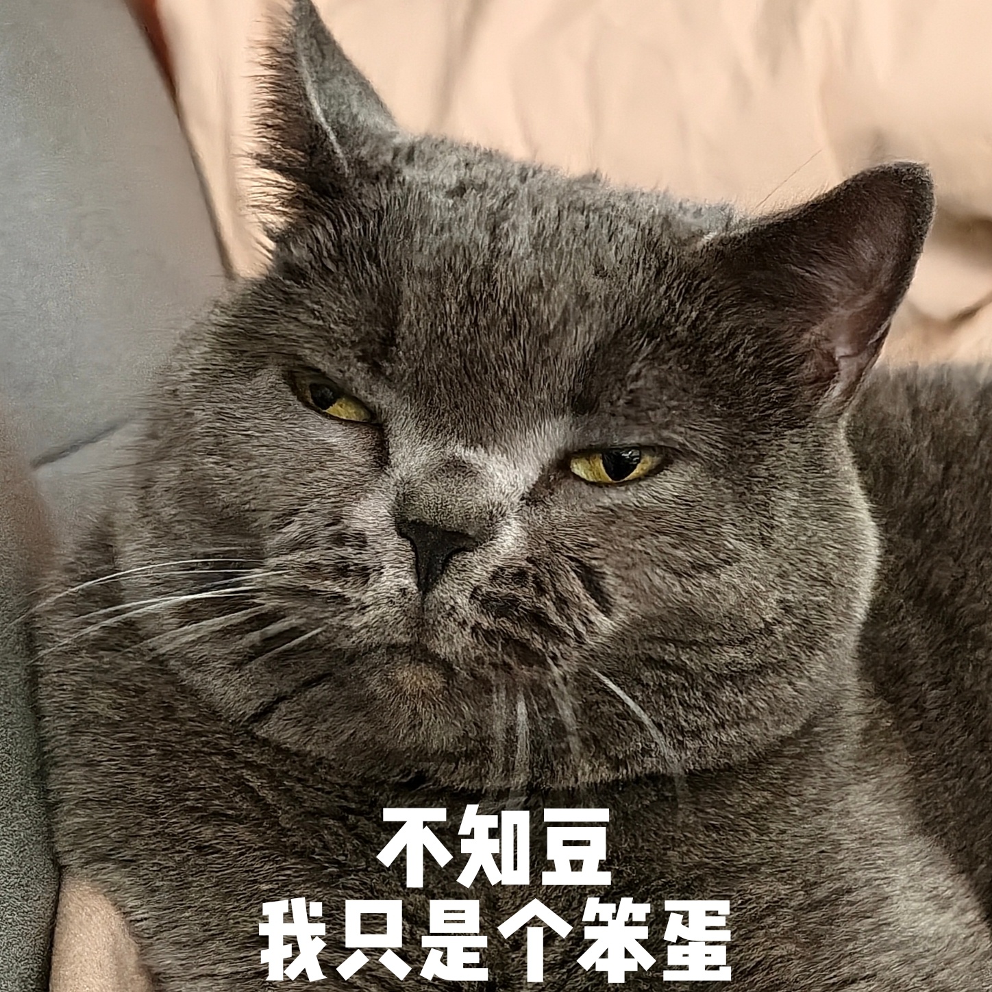 中午接到外卖小哥给我打电话：是福气旺旺这个门吗？我：什么福气旺旺？小哥：就是你的