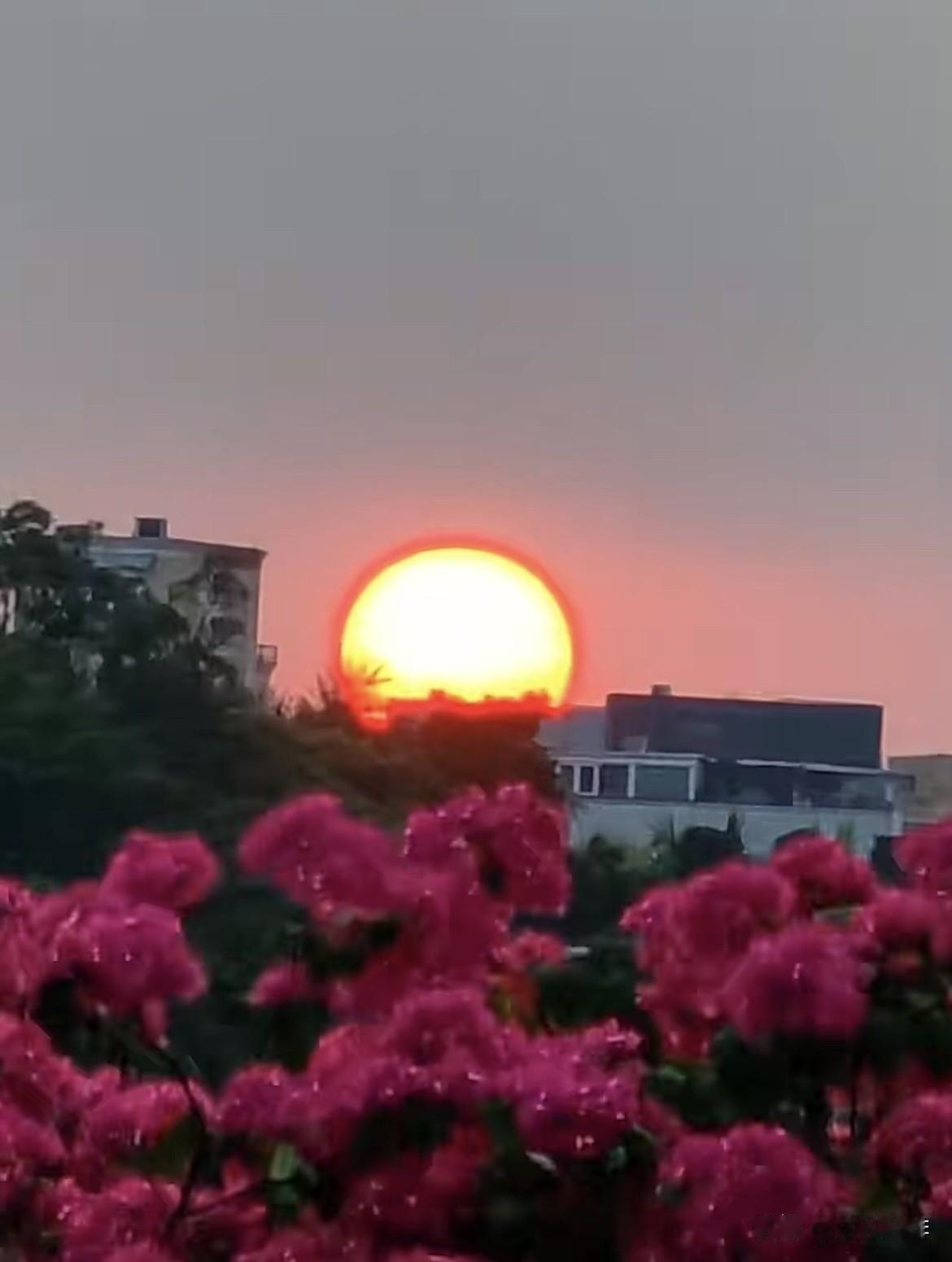 昨天九月初九重阳 ，原来
真的可以在地平线看到太阳🌞
日落也太好看了吧‼️
太