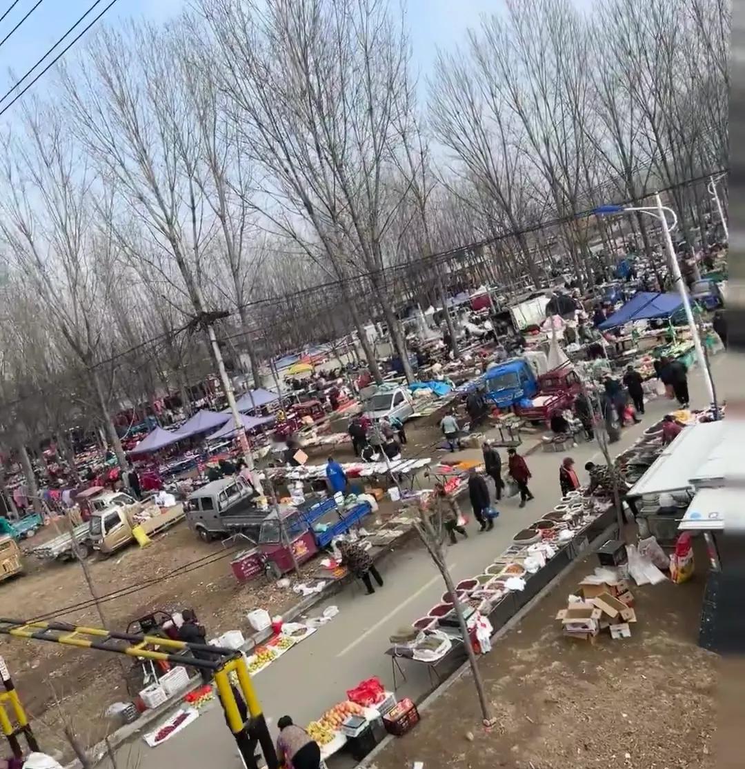 网上看到山东大集
感觉农村的发展还任重道远