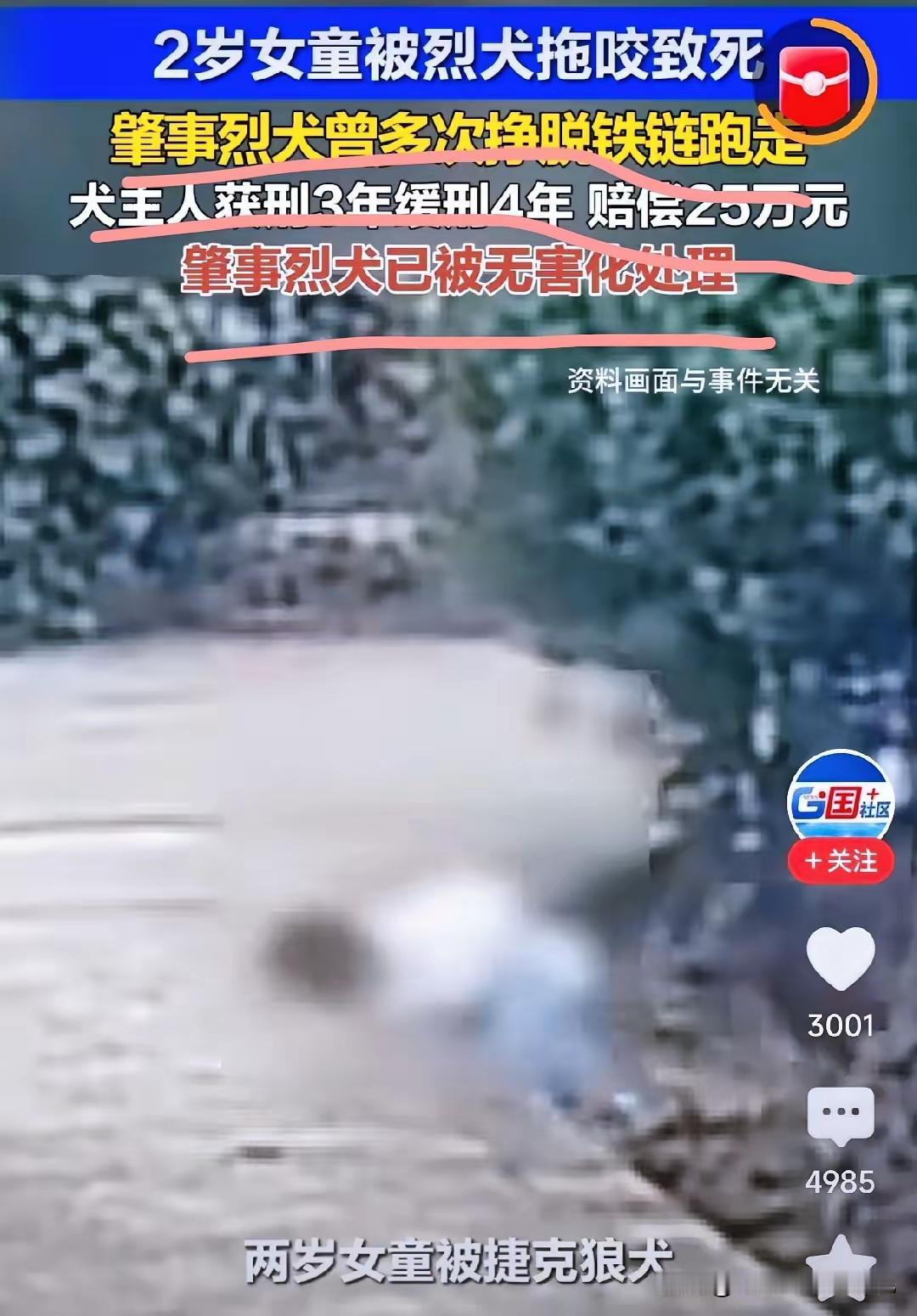 北京那位大爷估计这会儿挺懵。

他怎么也不会想到，

因为狗叫扰民投了毒，结果实