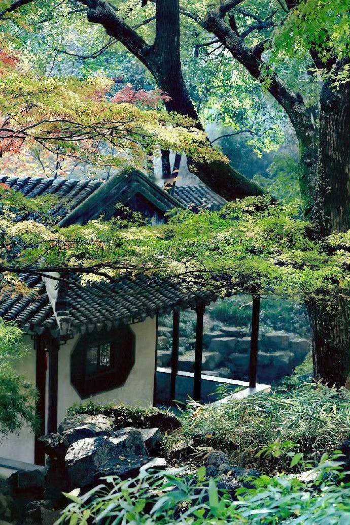 苏州，最适合一个人独自看风景、感受江南的烟雨风情。 ​ ​​​