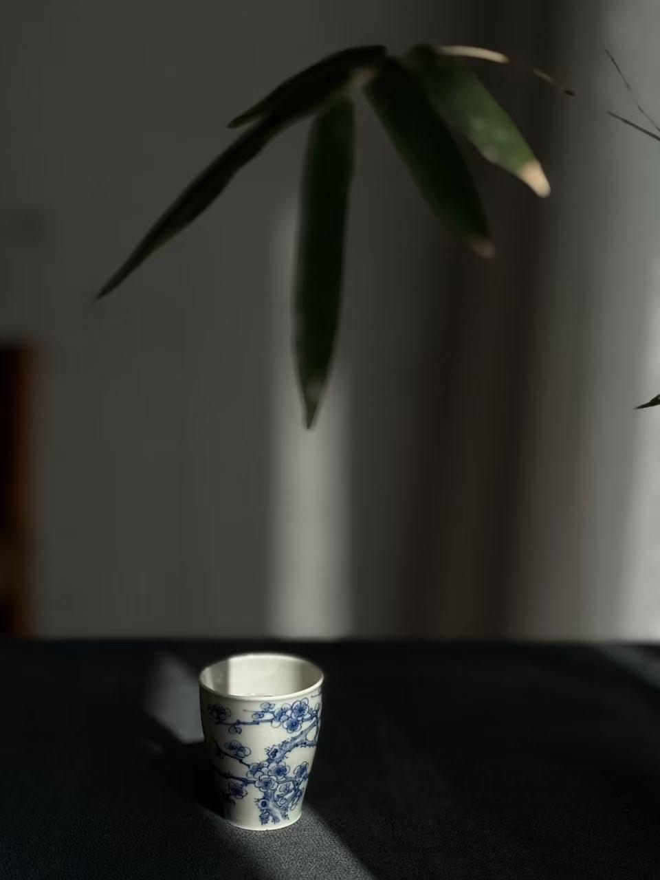 白茶到底能泡几泡？3种泡法精准参考，别再凭感觉了！
很多茶友疑惑白茶泡两三泡就寡