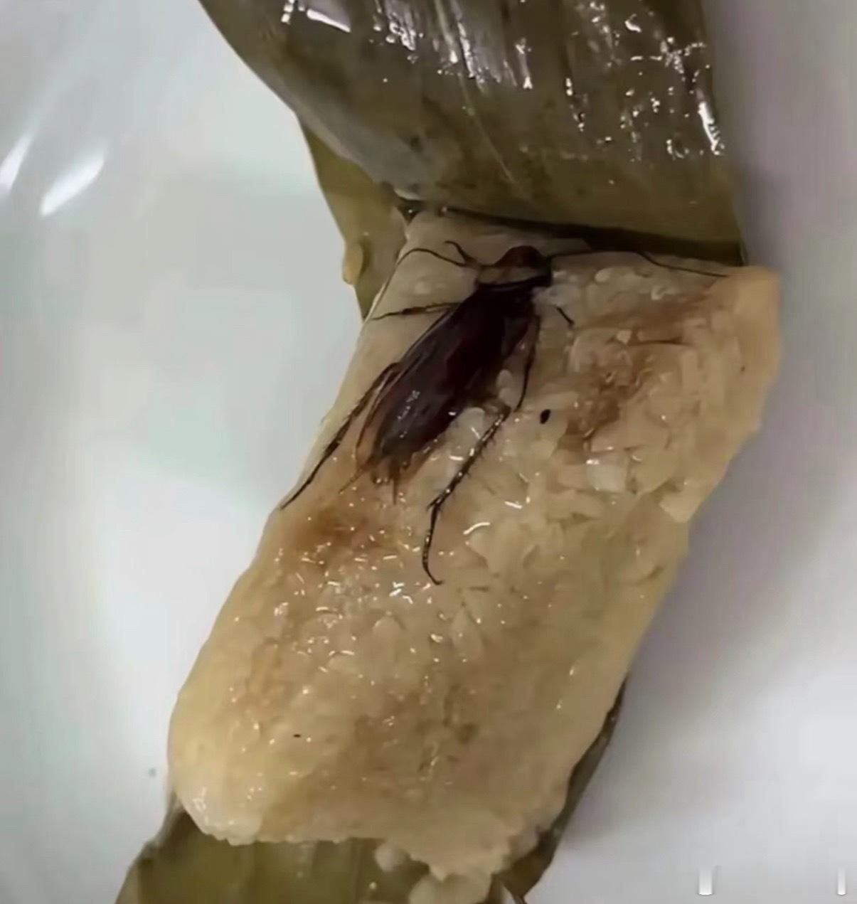 端午节端午节肯定要吃粽子啦，给大家看一下广东特色双马尾粽子是怎么样。