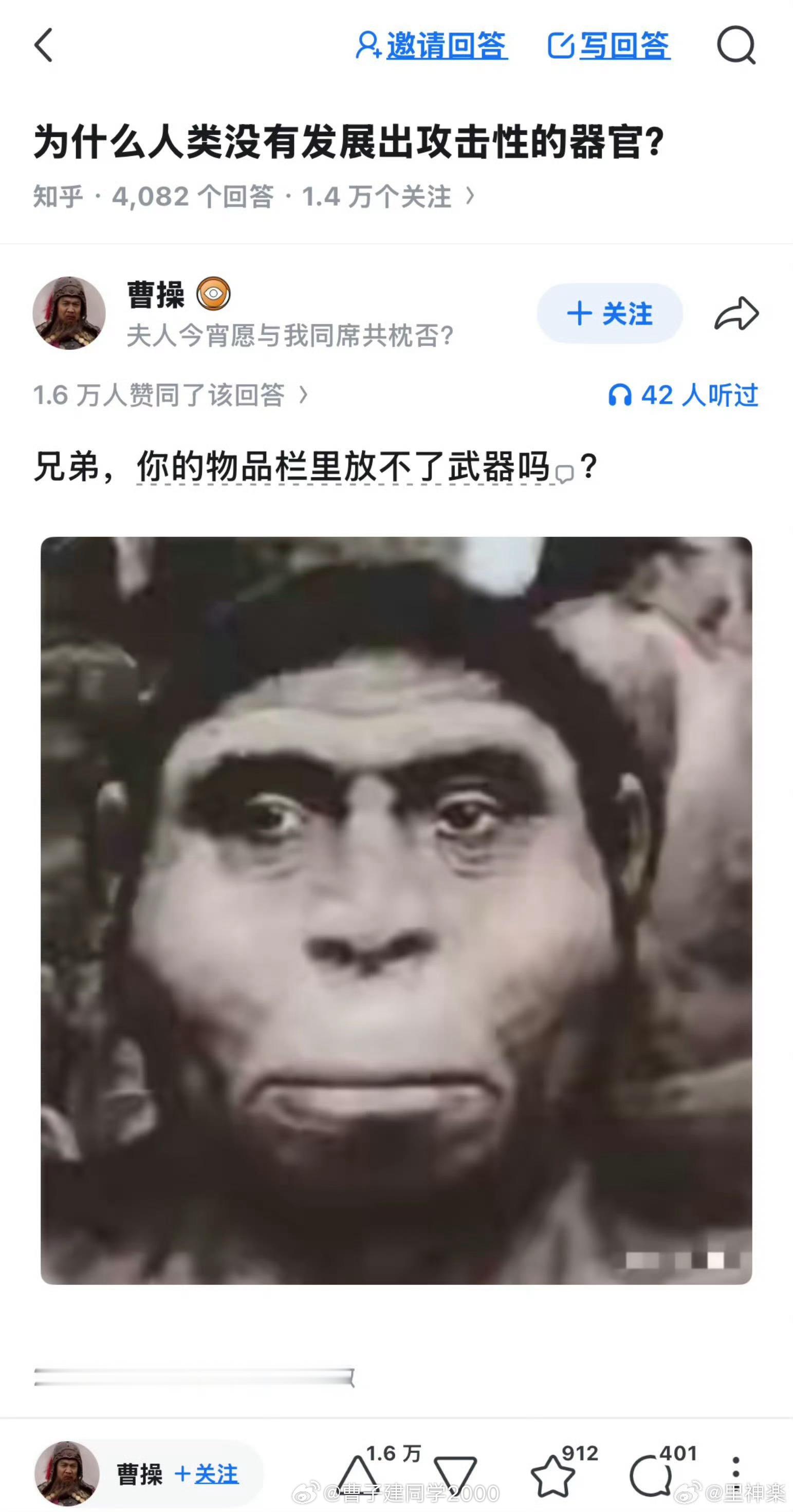 它们对石头过敏