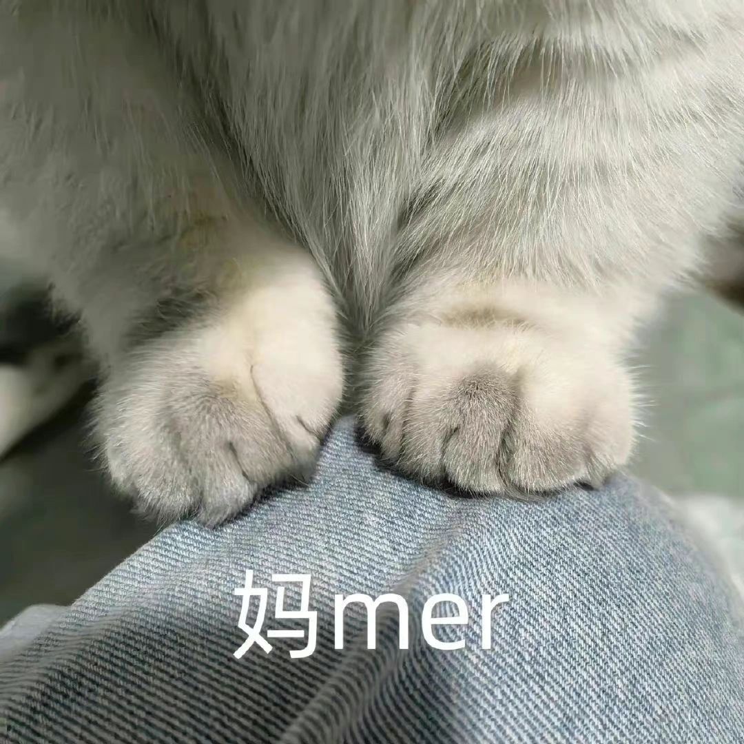 表情包丰富一下 