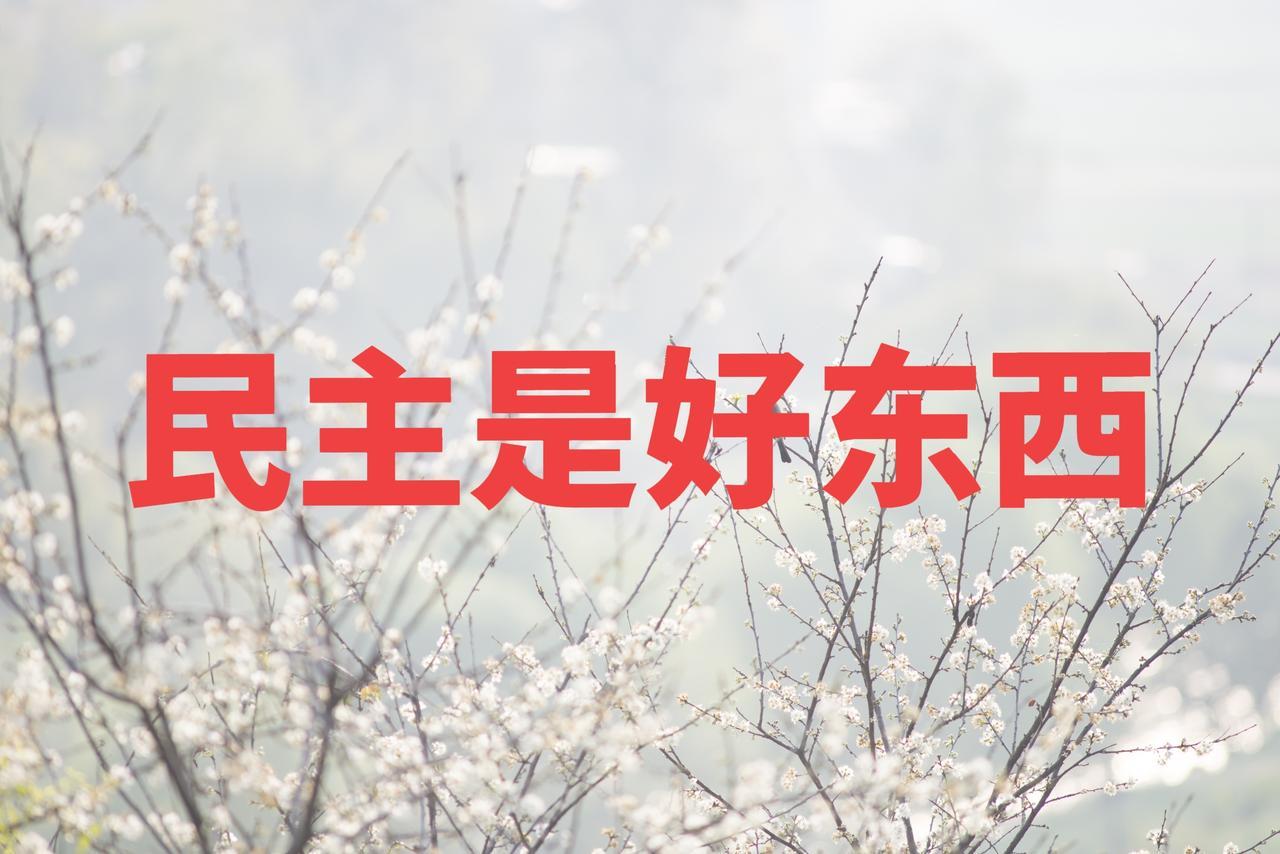 有人总说西方的民主就是游戏，改变不了什么。其实不是民主不好，而是民主选出的政府手