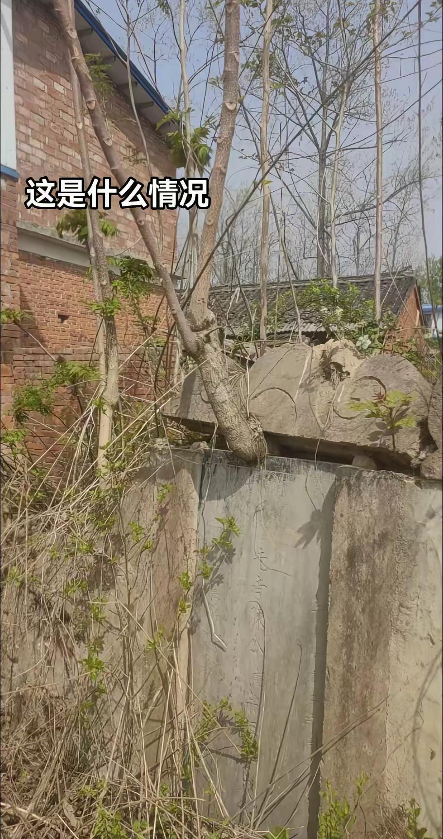 这是什么情况？