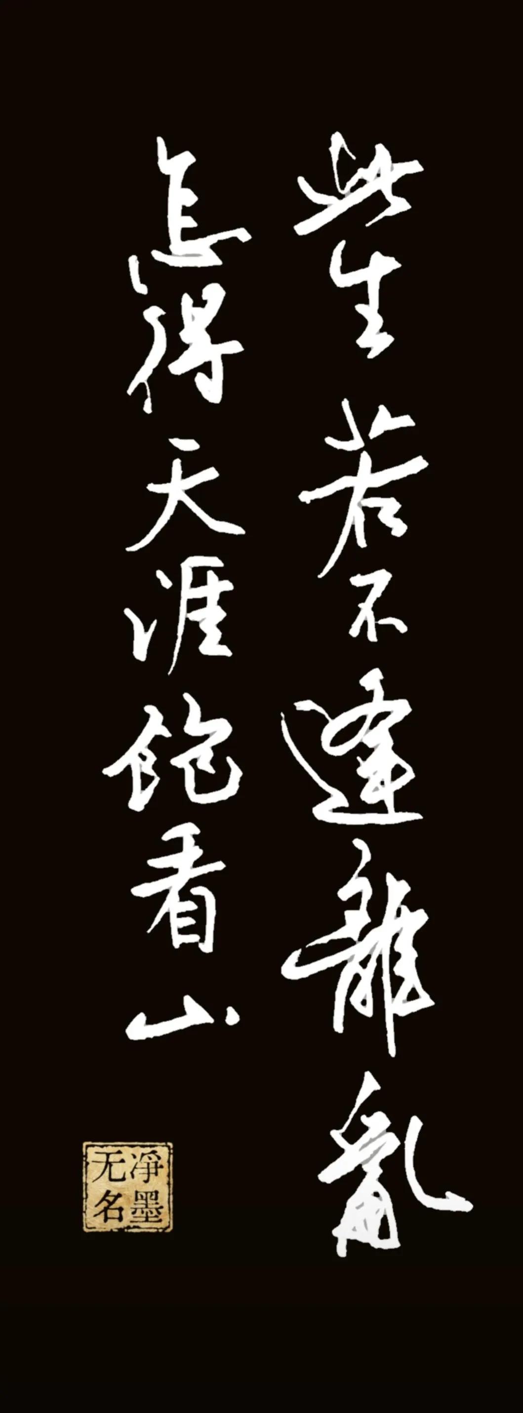此生若不逢离乱，怎得天涯饱看山。
出自吕碧城诗句。
简要点评
行草气息洒脱，行笔
