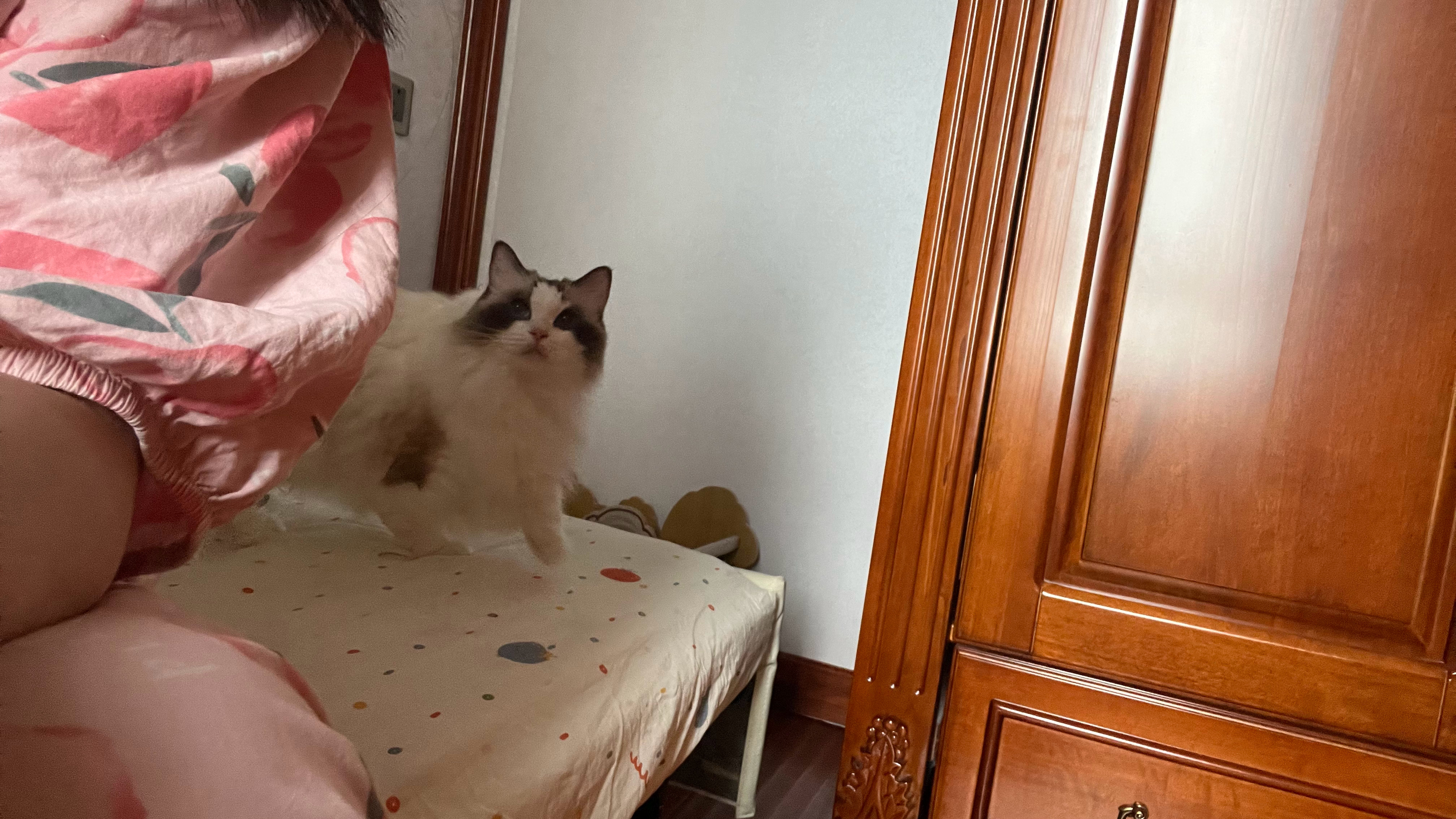 有个美女眼屎还没擦干净就来撒娇了