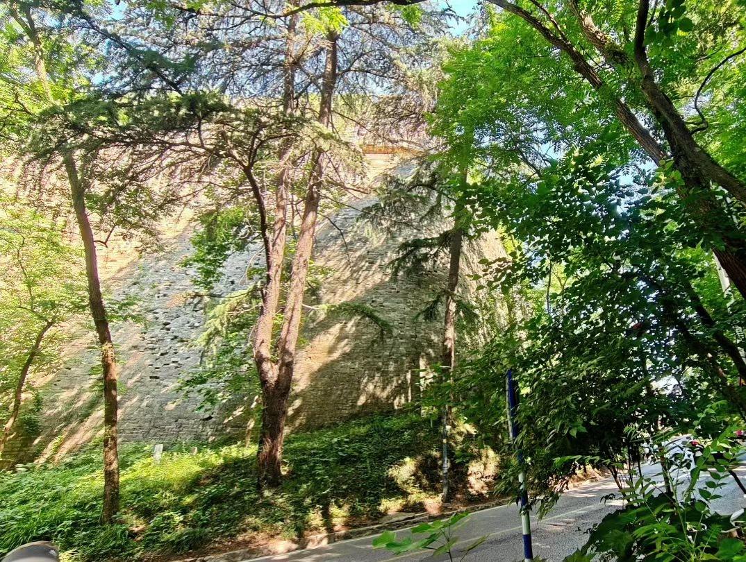 晒图笔记大赛一径浓荫藏夏日，红枫衬着粼粼水光，石板路上落满斑驳光影。古墙静立林间