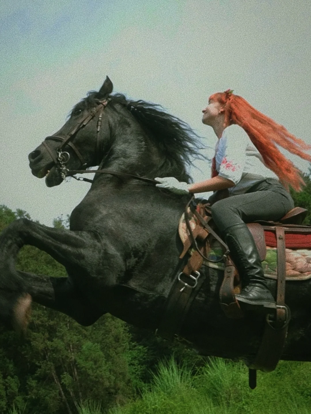 马术教我们：永远不要低头 看着要去的地方