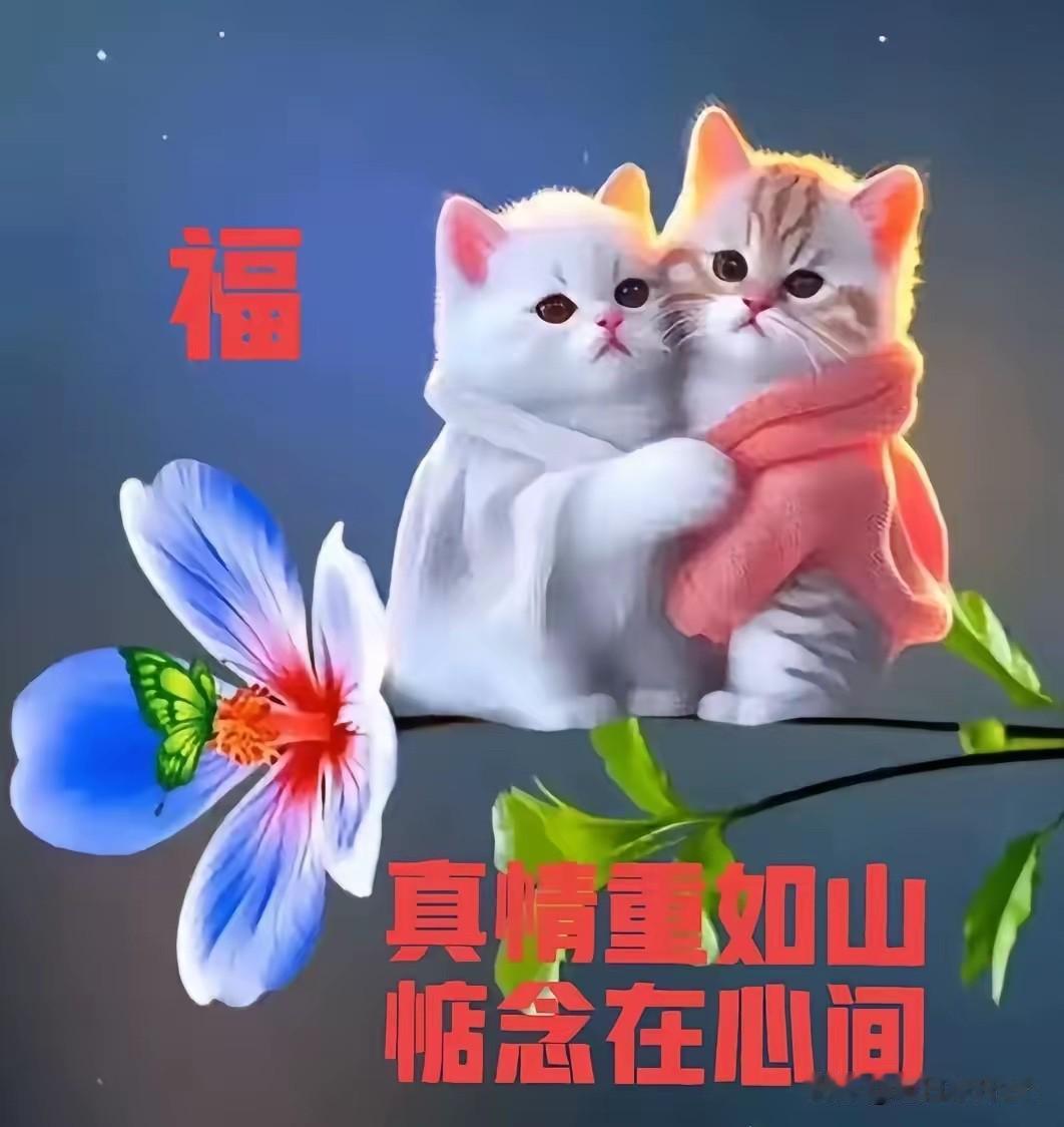 夏天的风
热烈而柔情
饱满而执着
远在天边的你
我已托风寄语
让它
见到你之后