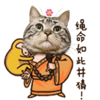 墨镜不要再随便戴了很多人戴墨镜只看款式颜值，其实选不对反而伤眼。镜片颜色、防晒指