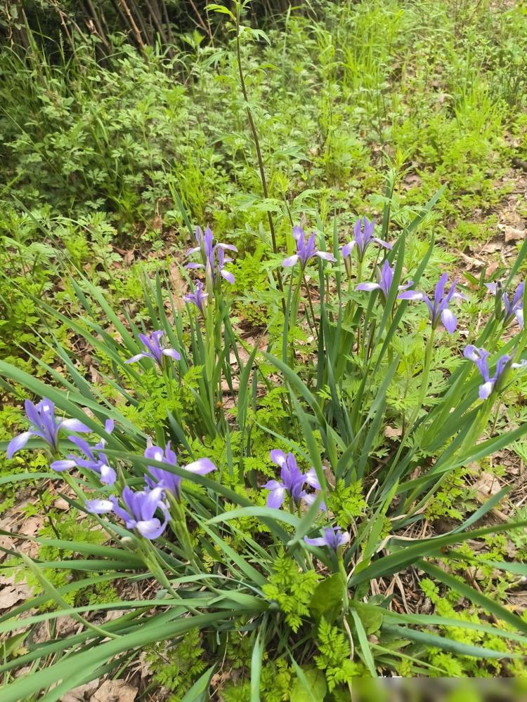 和我搭班多年的老教师今天给我说她很后悔，后悔自己当初的决定。

真的特别能共情她