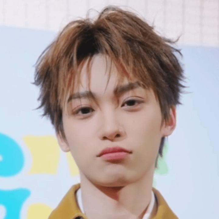 我应该在晚会听到故乡月才对吧 