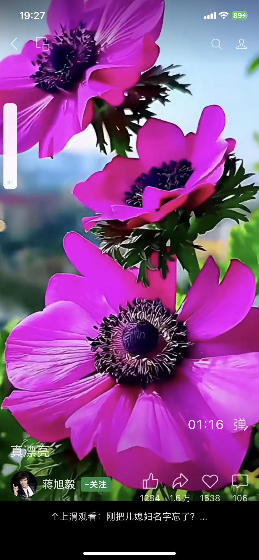 凌晨三点，街角便利店的白炽灯还亮着。值夜班的小姑娘靠着柜台打盹，手里攥着没织完的