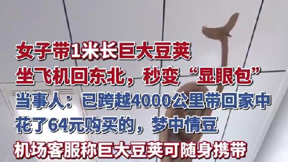 女子带1米长巨大豆荚坐飞机引围观，机场回应：可随身携带
近日，一段女子从云南普洱