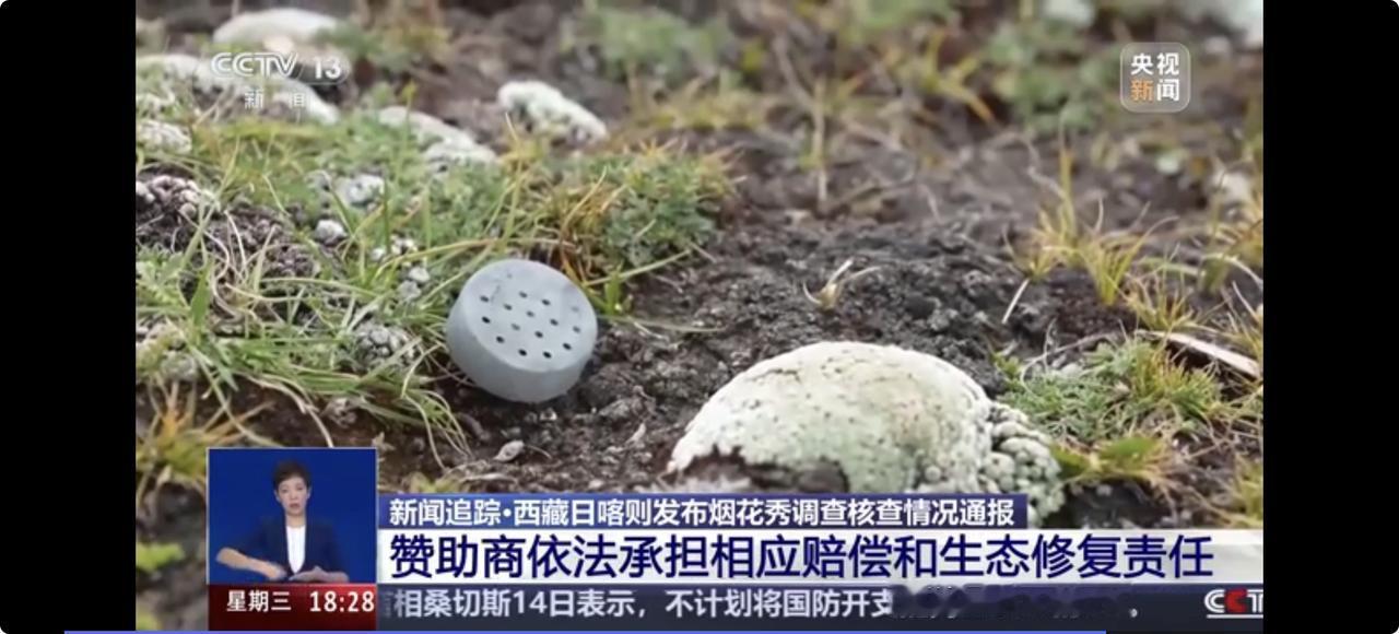 刚和做环保志愿的同学通电话，聊起蔡国强烟花秀的官方调查结果，听完心里真有点不是滋