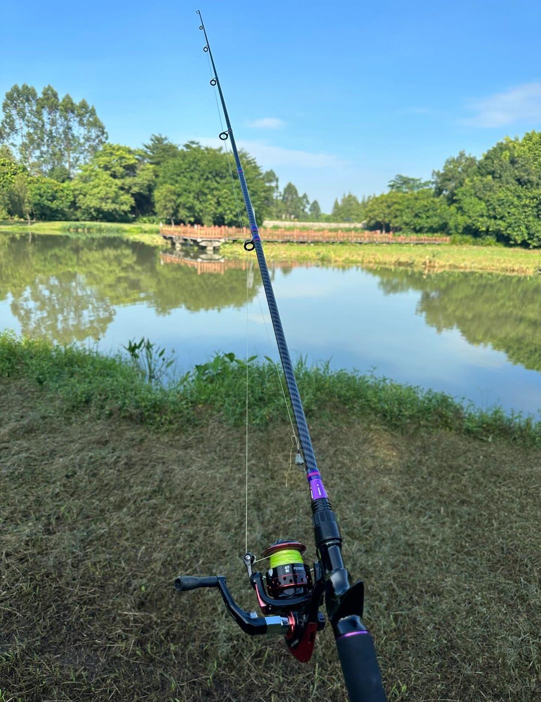 你以为钓鱼是老年人的消磨？1亿年轻人正用它对抗屏幕疲劳。
当浮标下沉，你手指收紧