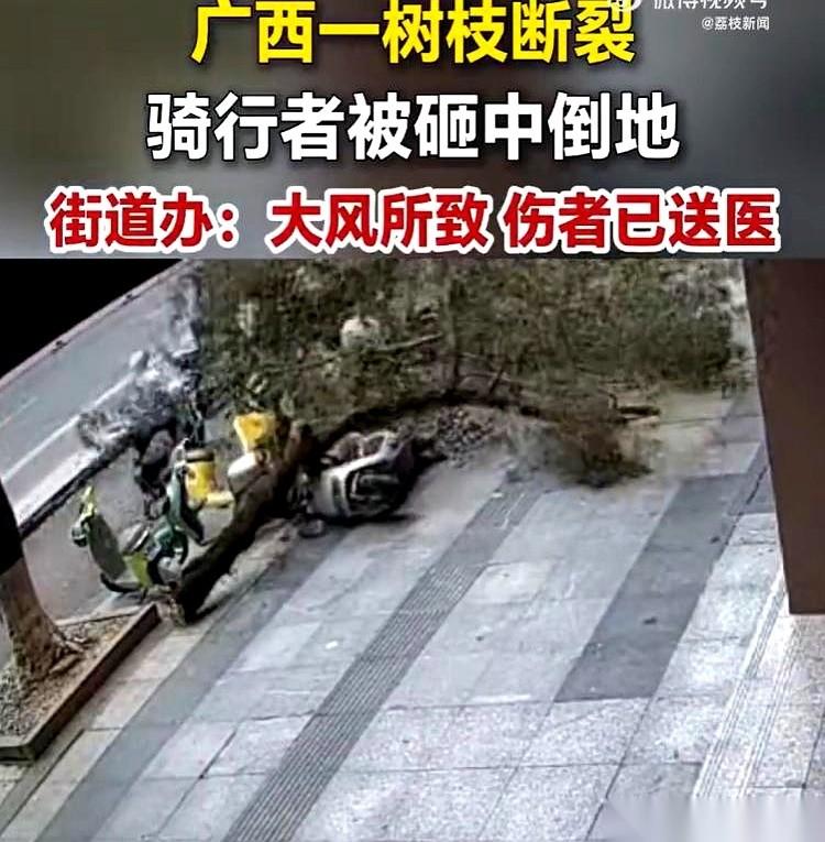 风声尖得像哨子，卷着街边的塑料袋，一下下抽在人脸上。
广西贺州，10级大风。马路