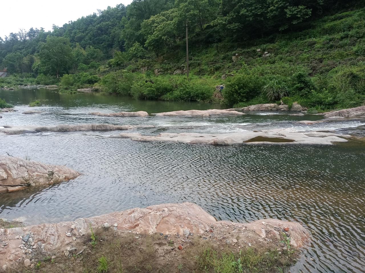 《再赴唐湾，邂逅山水之灵》

枫林红叶

又到唐湾林里游，

溪声浩浩意难休。